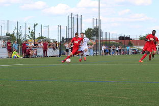 九游APP官网-荷兰队在国际赛场持续强势，晋级形势良好