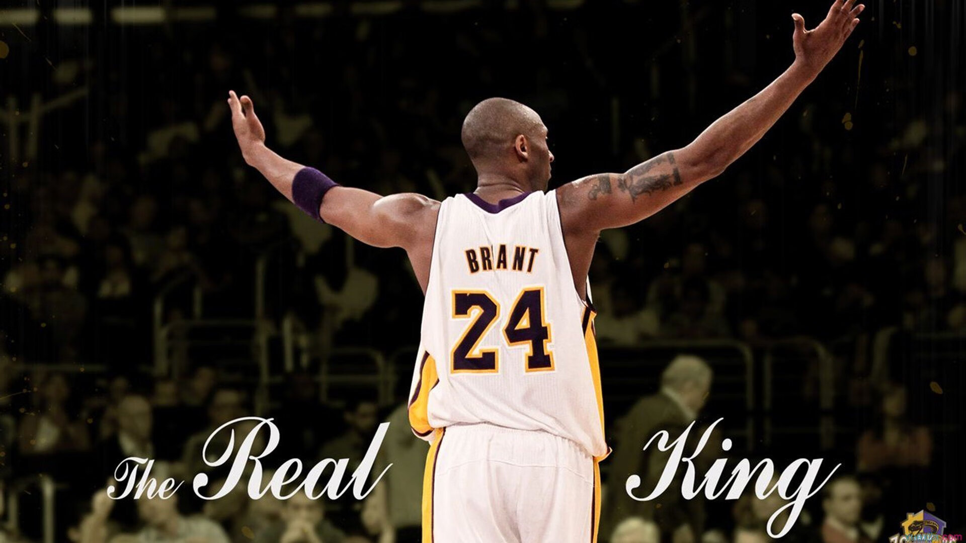 阿根廷骑手受邀参加欧洲马术巡回赛，与国际顶级骑手同场竞技。